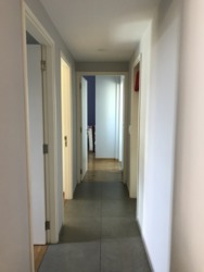 The Minton (D19), Condominium #159401562